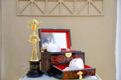 片仔癀两大护肤精品荣获美伊大奖，C位入驻瑞丽新青年未来公社